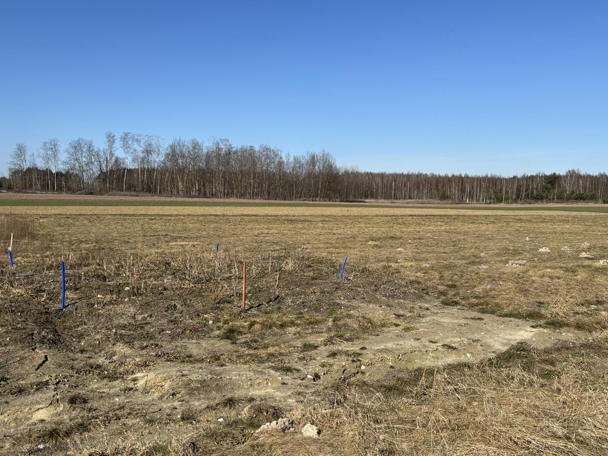 Działka rolno-budowlana Aleksandrów. Zdjęcie 10