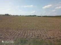 Działka rolna Brzóza. Zdjęcie 2