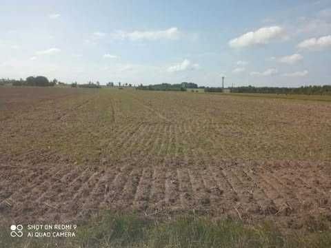 Działka rolna Brzóza. Zdjęcie 3