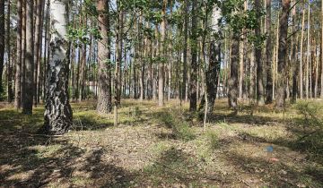 Działka rekreacyjna Radzyń