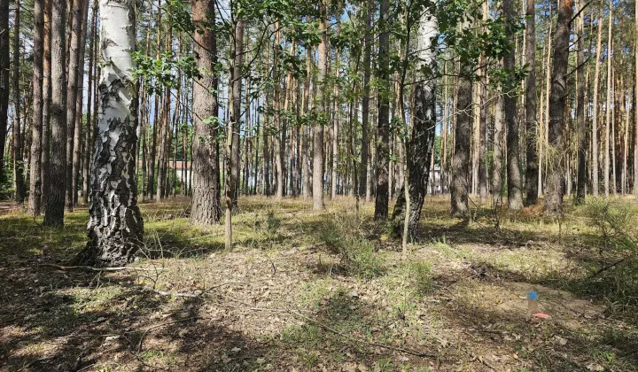 Działka rekreacyjna Radzyń