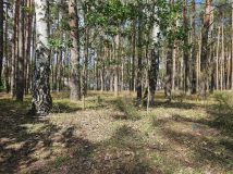 Działka rekreacyjna Radzyń