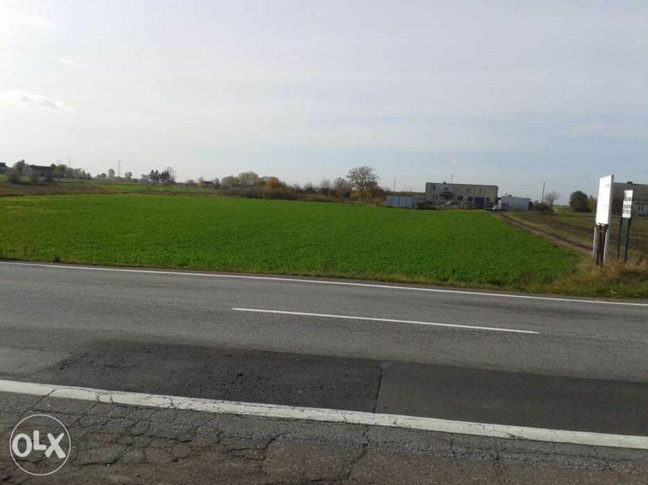 Działka rolna Grzywna. Zdjęcie 2