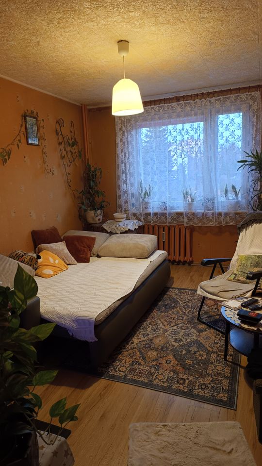 Mieszkanie 2-pokojowe Sosnowiec Środula, ul. Jana Matejki. Zdjęcie 5