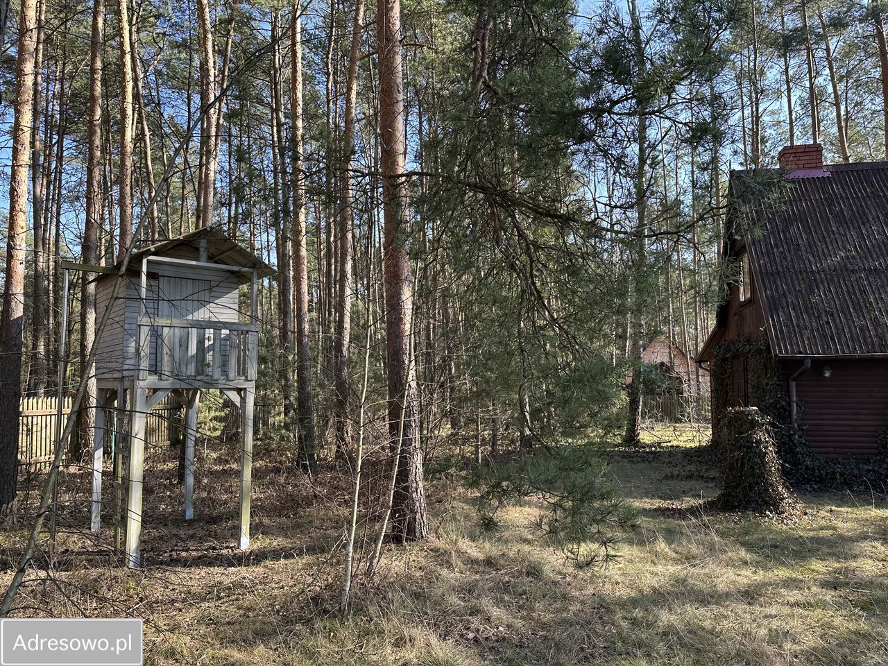 Działka rekreacyjna Kamieńczyk, ul. Kolonia Rafa. Zdjęcie 9