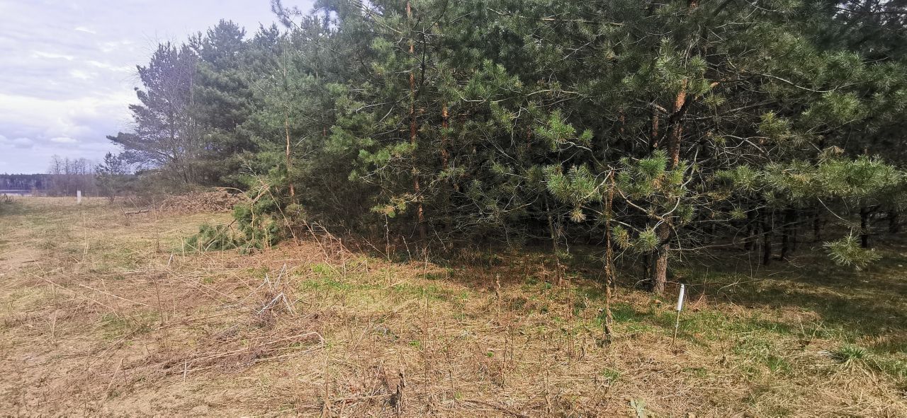 Działka budowlana Rekownica. Zdjęcie 10