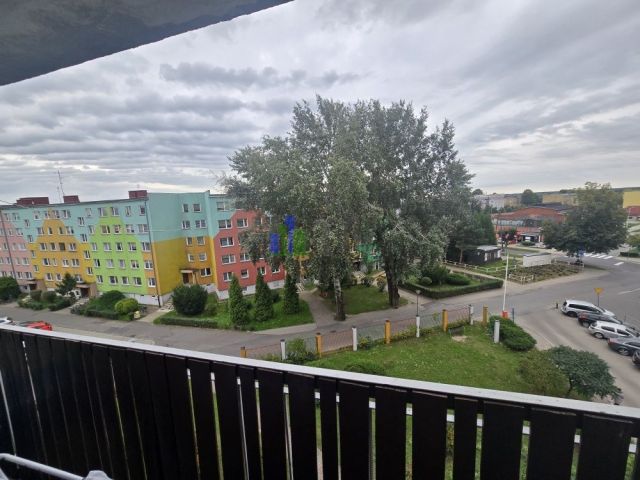 Mieszkanie 2-pokojowe Jelcz-Laskowice, ul. Ludwika Hirszfelda. Zdjęcie 15