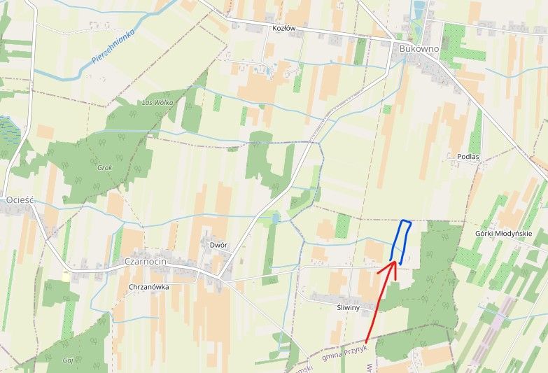 Działka rolna Bukówno Śliwiny. Zdjęcie 4