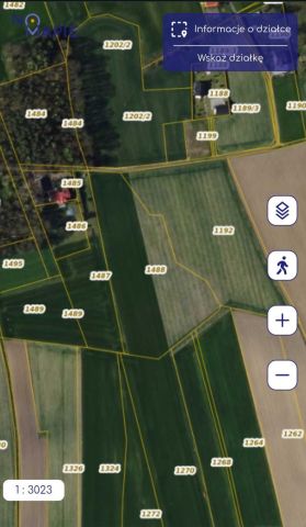 Działka rolna Borki Wielkie, ul. Leśna. Zdjęcie 1