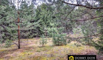 Działka budowlana Płaska