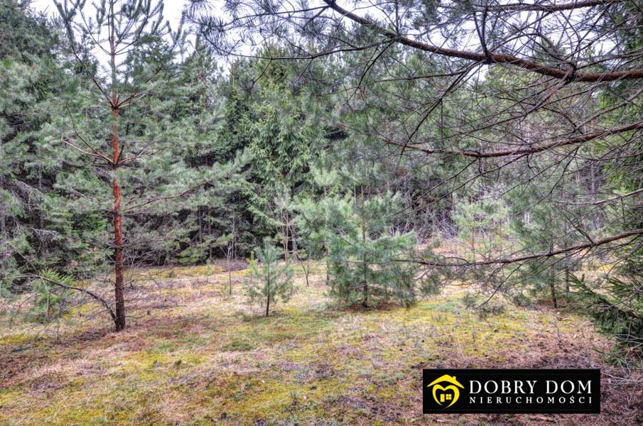 Działka budowlana Płaska