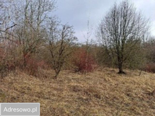 Działka inwestycyjna Dąbrowa Górnicza. Zdjęcie 1