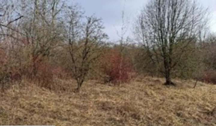 Działka inwestycyjna Dąbrowa Górnicza