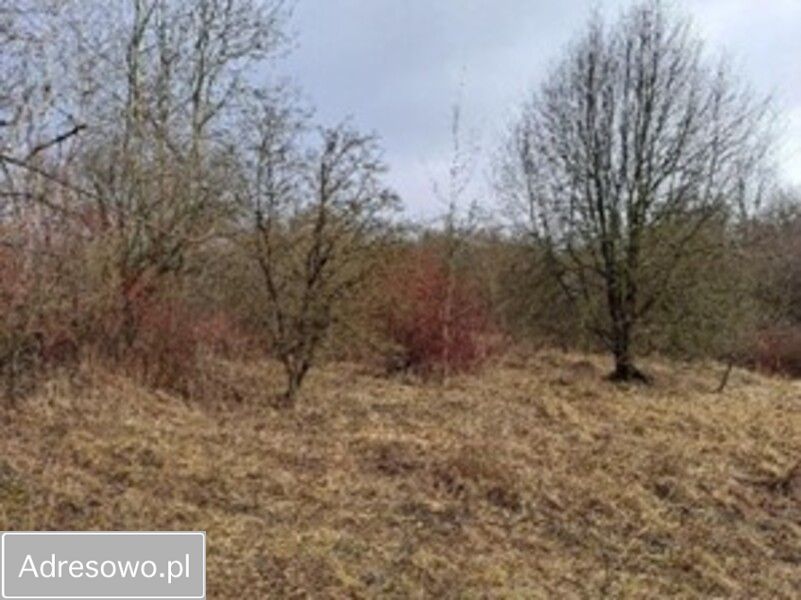 Działka inwestycyjna Dąbrowa Górnicza. Zdjęcie 1