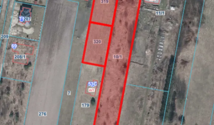 Działka siedliskowa Krzewina, Krzewina