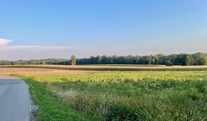 Działka budowlana Poręba, ul. Graniczna