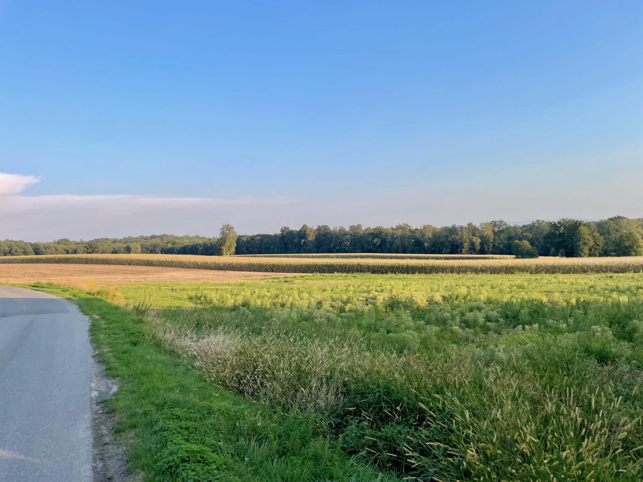 Działka budowlana Poręba, ul. Graniczna. Zdjęcie 1