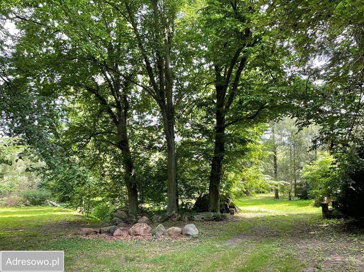 dworek Taszewo. Zdjęcie 10