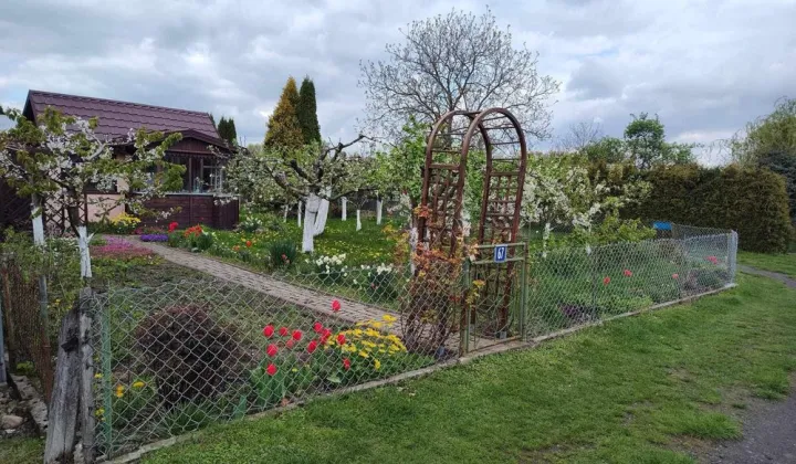 Działka rod Sokołów Podlaski