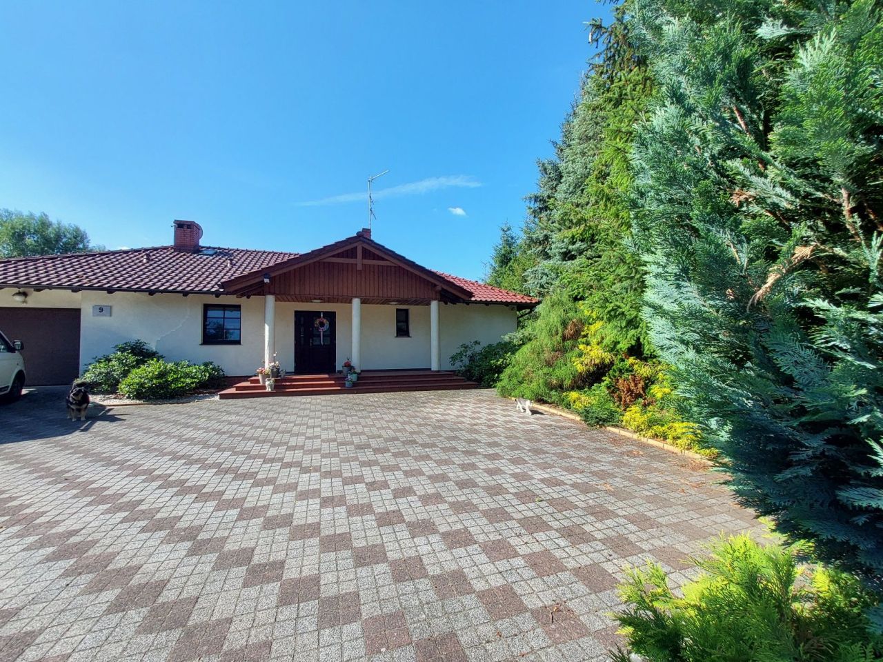 Nieruchomość komercyjna Zielona Góra Centrum, ul. Zdrojowa. Zdjęcie 2