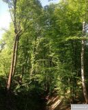 dom wolnostojący, 2 pokoje Barwałd Średni. Zdjęcie 2