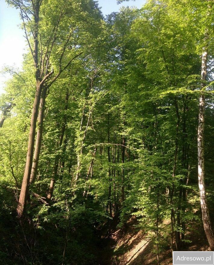 dom wolnostojący, 2 pokoje Barwałd Średni. Zdjęcie 3