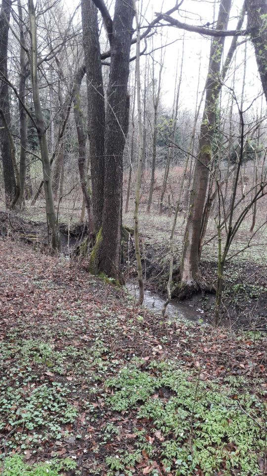 Działka rekreacyjna Czaniec, ul. Myśliwska. Zdjęcie 4