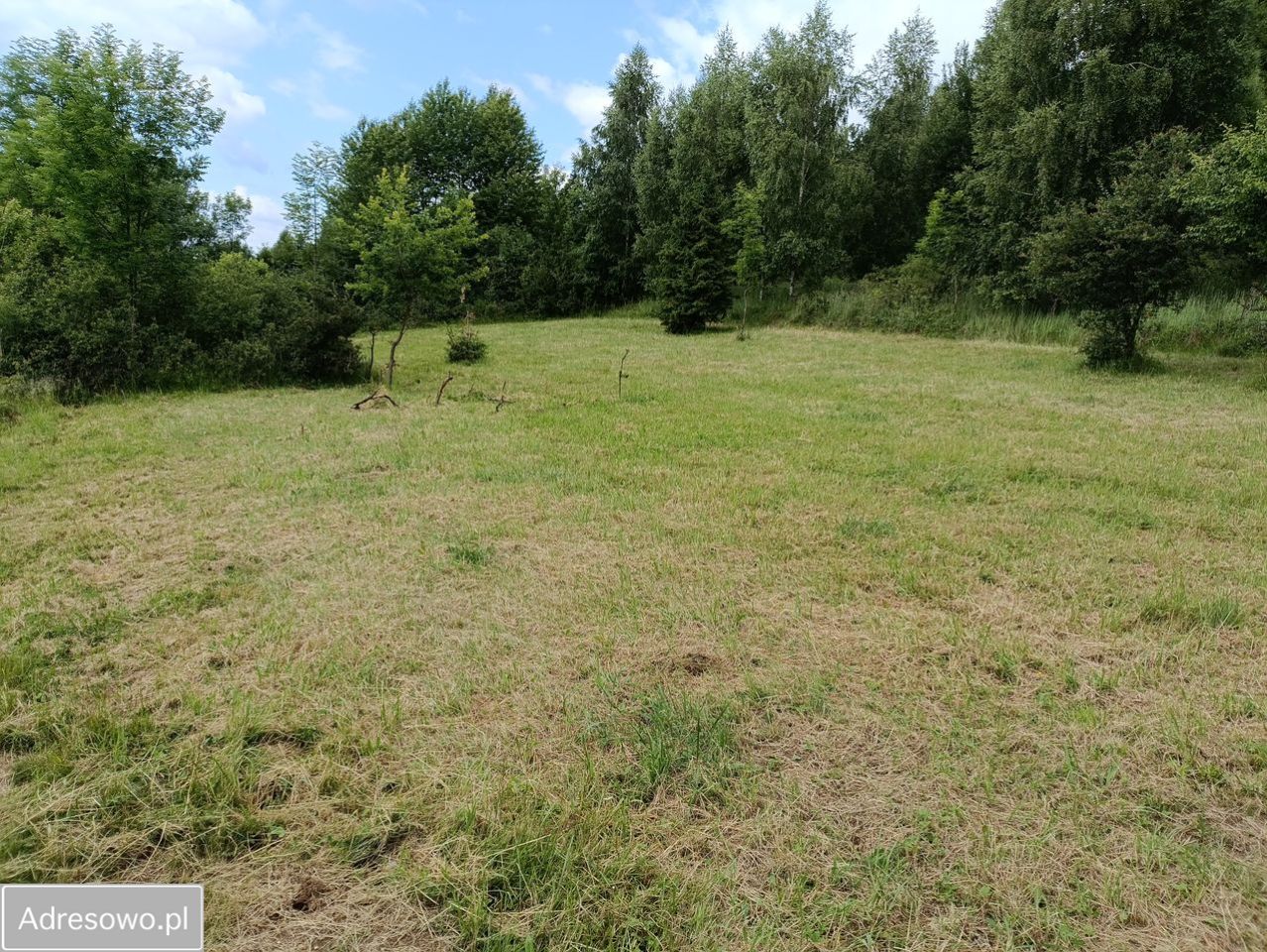 Działka rolna Mutne. Zdjęcie 7