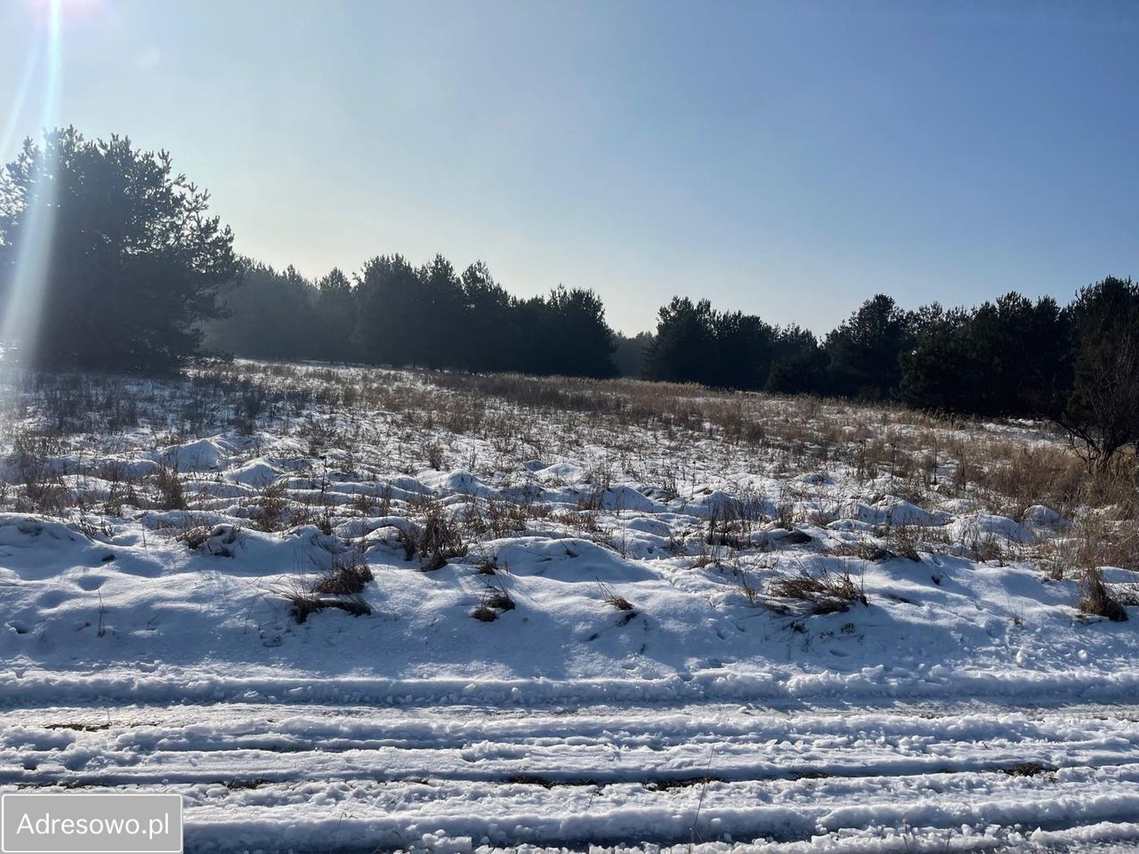 Działka budowlana Chechło, ul. Ogrodzieniecka. Zdjęcie 2