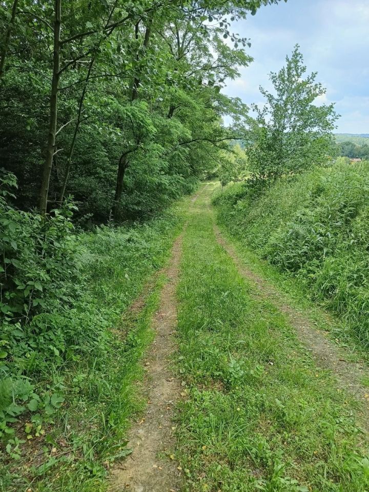 Działka budowlana Łomna. Zdjęcie 5