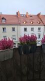 Mieszkanie 2-pokojowe Racibórz Centrum, ul. Browarna. Zdjęcie 2