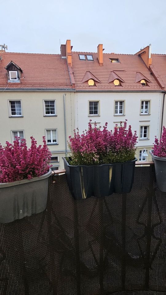 Mieszkanie 2-pokojowe Racibórz Centrum, ul. Browarna. Zdjęcie 3