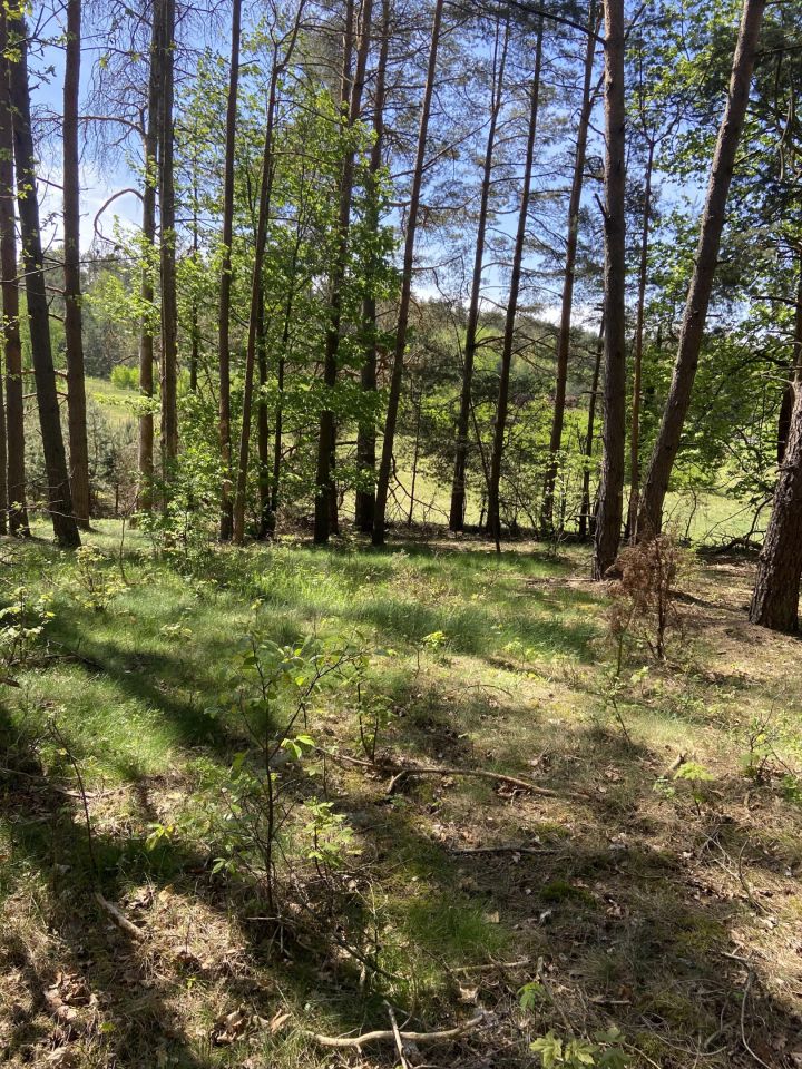 Działka rolno-budowlana Narty, ul. Długa. Zdjęcie 2