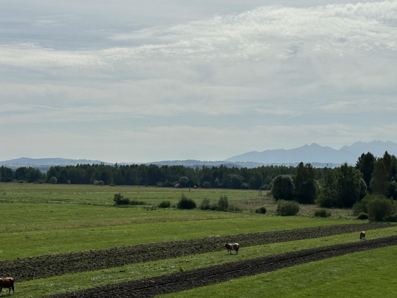 dom wolnostojący Krauszów Osiedle za Wodą, os. Za Wodą. Zdjęcie 11