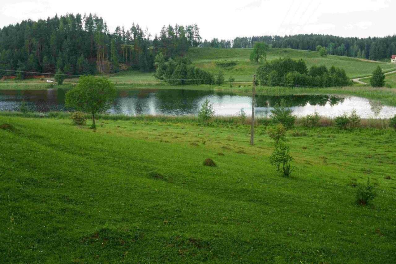 Działka siedliskowa Osinki. Zdjęcie 7