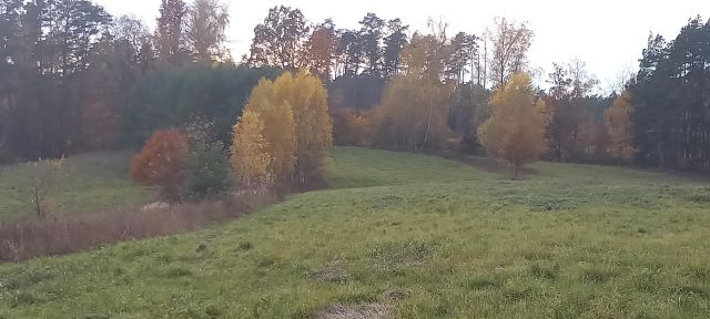 Działka rolno-budowlana Jania Góra Rudzianek. Zdjęcie 1