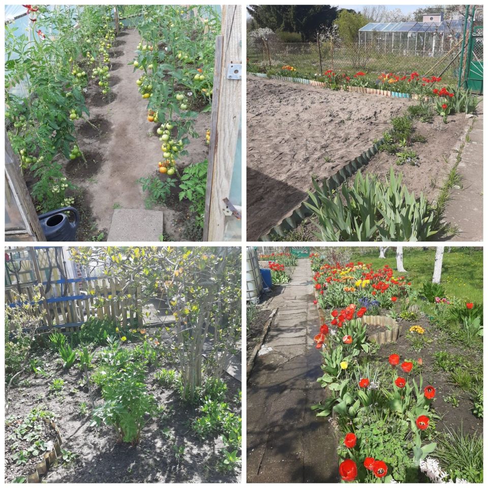 Działka rod Stargard, ul. Morska. Zdjęcie 2