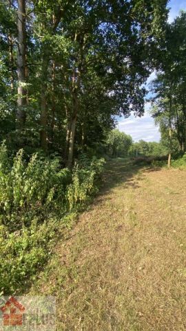 Działka rolno-budowlana Czernichów. Zdjęcie 8