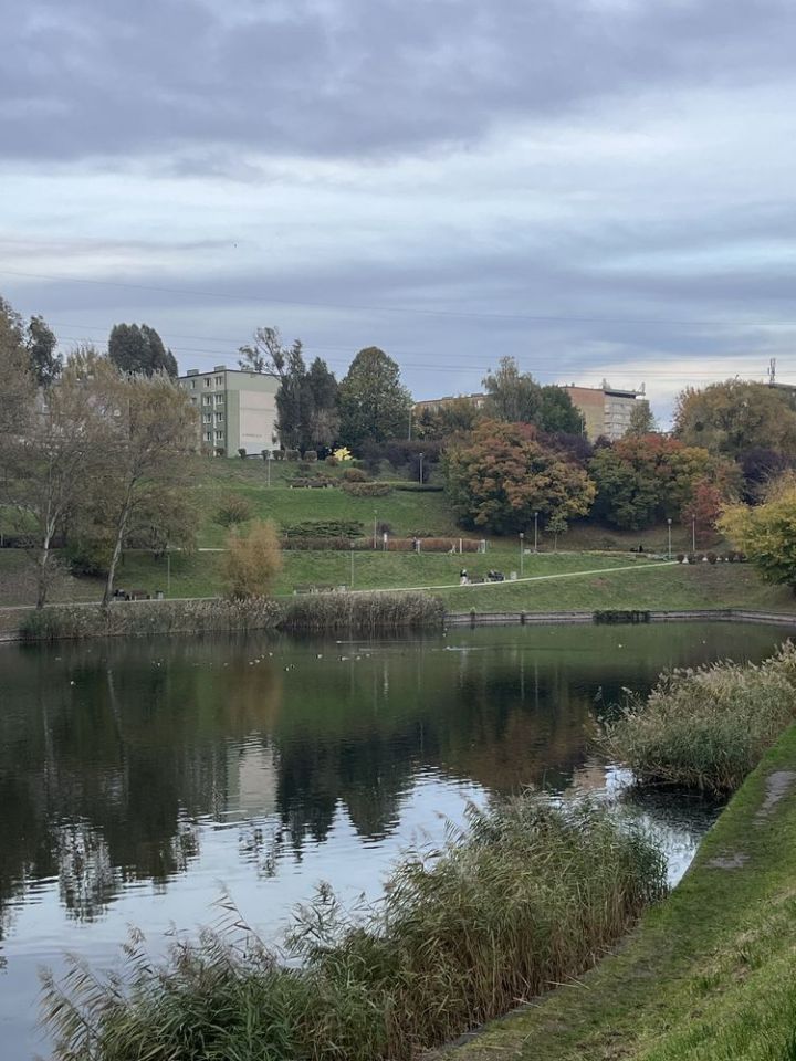 Mieszkanie 2-pokojowe Szczecin Niebuszewo. Zdjęcie 2