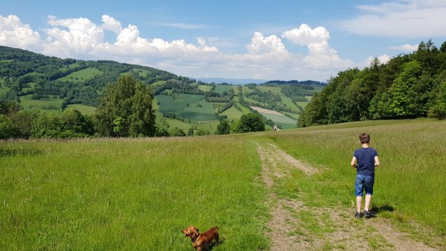 Działka rolno-budowlana Konradów. Zdjęcie 1