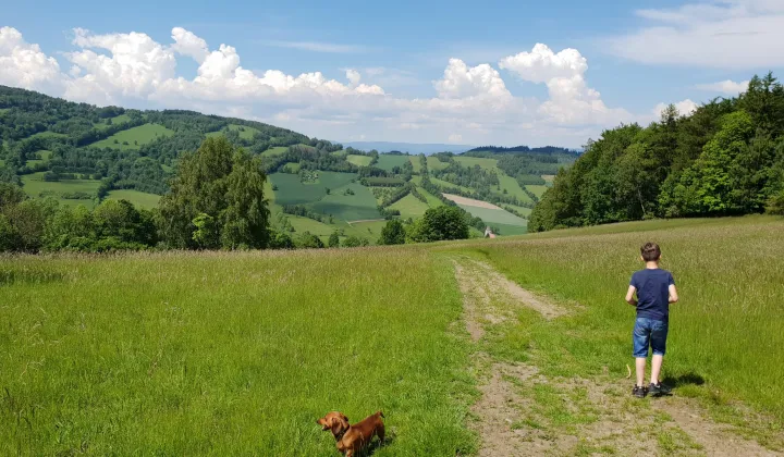 Działka rolno-budowlana Konradów