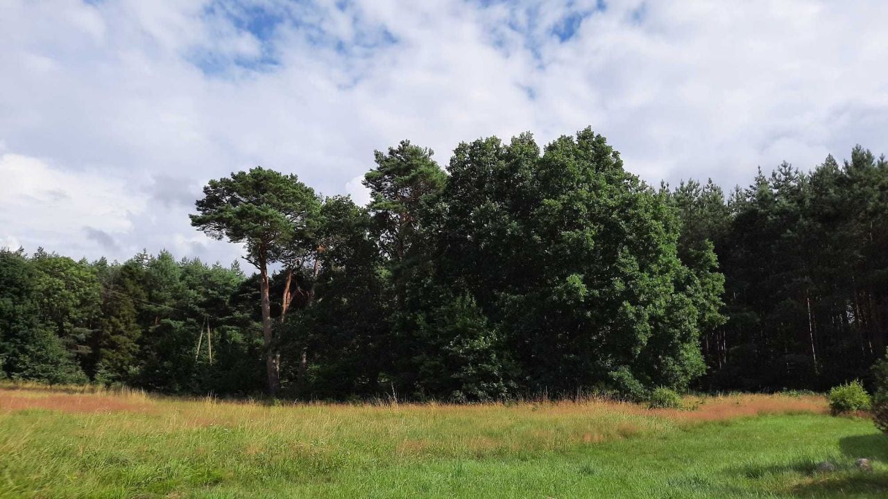 Działka budowlana Izbica. Zdjęcie 4