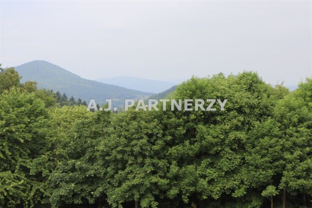 Działka Pasierbiec. Zdjęcie 13