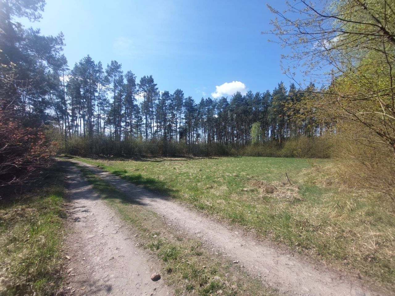 Działka budowlana Obrowo, ul. Sarnia. Zdjęcie 6