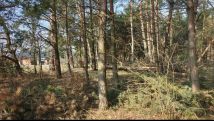Działka siedliskowa Pogórska Wola. Zdjęcie 4