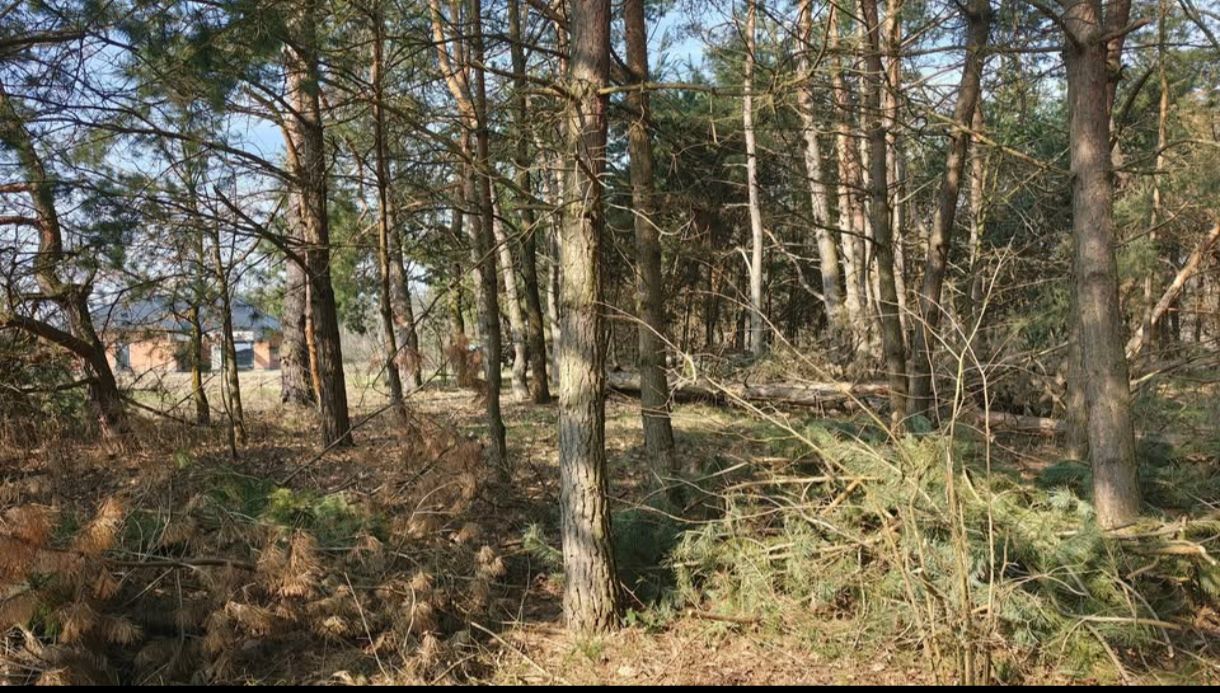 Działka siedliskowa Pogórska Wola. Zdjęcie 5