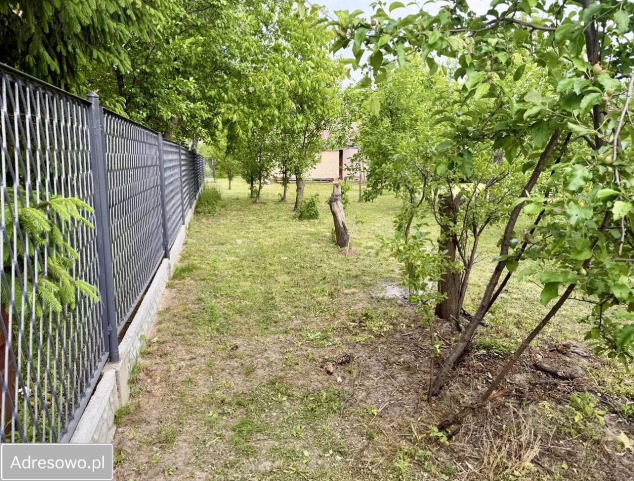 dom wolnostojący, 2 pokoje Jagodne. Zdjęcie 9