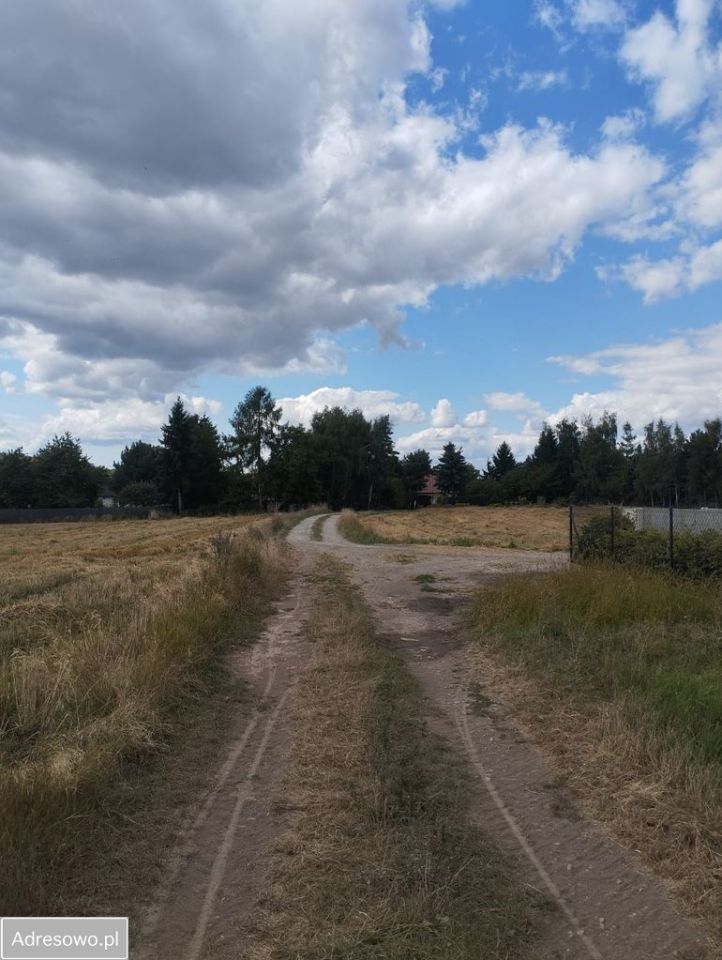 Działka budowlana Witków. Zdjęcie 2