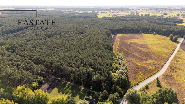 Działka leśna Maurzyce. Zdjęcie 3