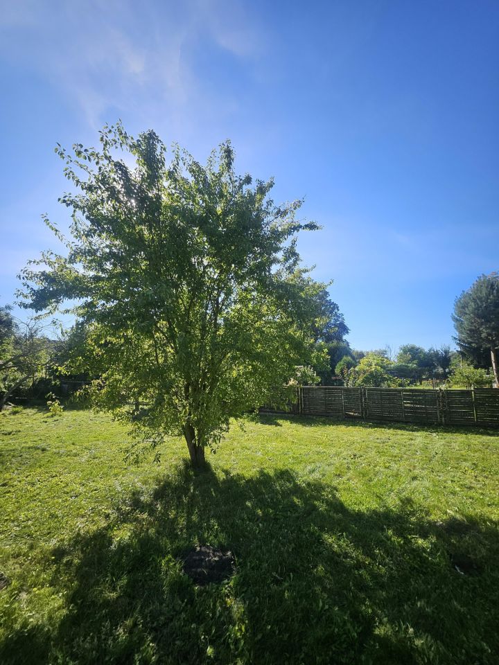 Działka rod Stargard Centrum, ul. Michała Drzymały. Zdjęcie 7